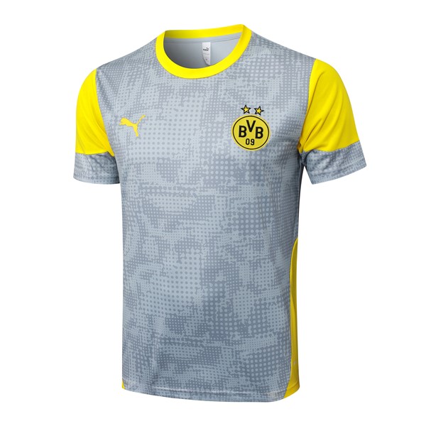 Camiseta Entrenamiento Borussia Dortmund 2026/2027 Gris